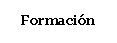 Cuadro de texto: Formación