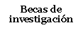 Cuadro de texto: Becas de investigación