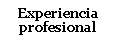 Cuadro de texto: Experiencia profesional